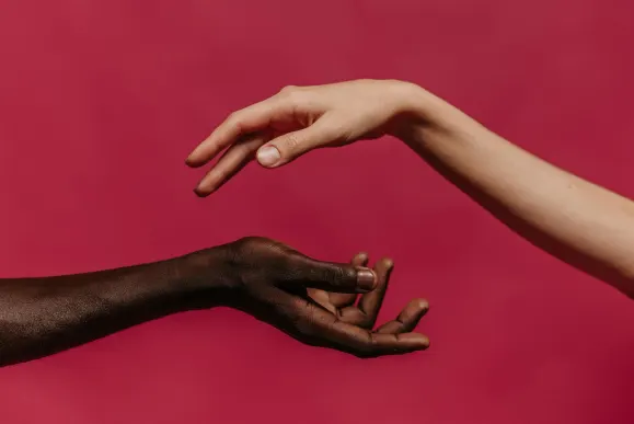 카지노 슬롯츠 정글 지원